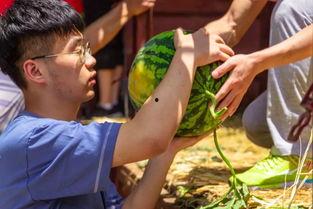 娱乐吃瓜钓鱼视频大全集,笑料百出，精彩纷呈！